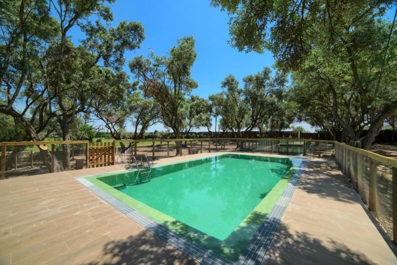 Finca Olivar De La Bardena Guest House Tudela Bagian luar foto